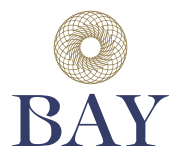 BAY CAPITAL INVESTMENT ADVISORS PVT LTD